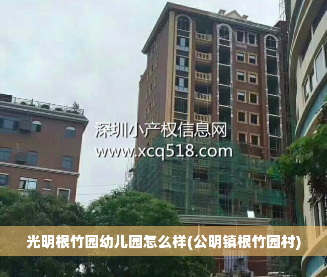 光明根竹园幼儿园怎么样(公明镇根竹园村)
