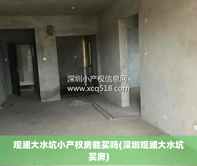 观澜大水坑小产权房能买吗(深圳观澜大水坑买房)