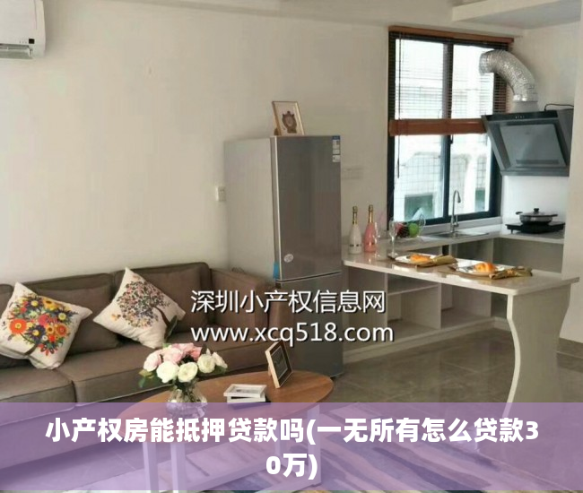 小产权房能抵押贷款吗(一无所有怎么贷款30万)
