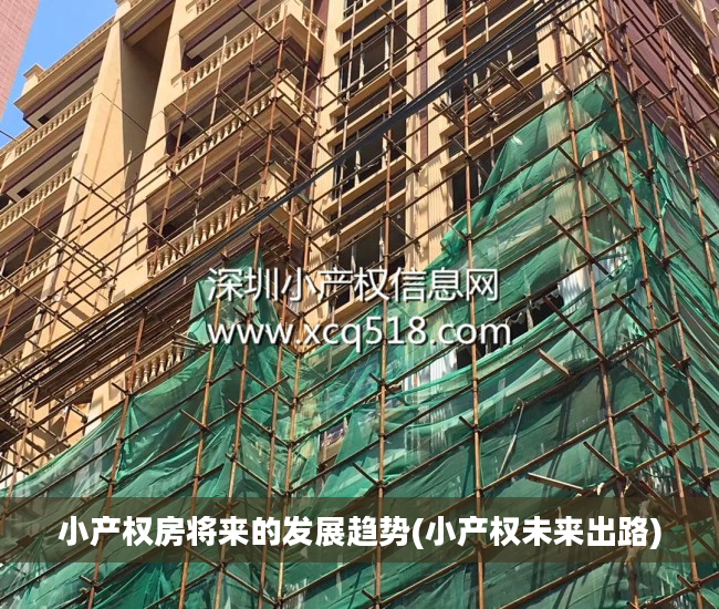 小产权房将来的发展趋势(小产权未来出路)