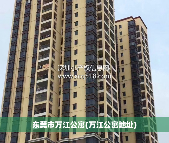 东莞市万江公寓(万江公寓地址)