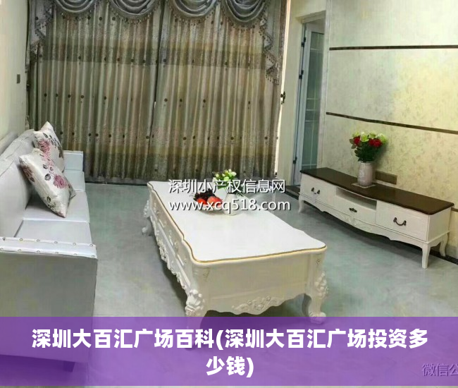 深圳大百汇广场百科(深圳大百汇广场投资多少钱)