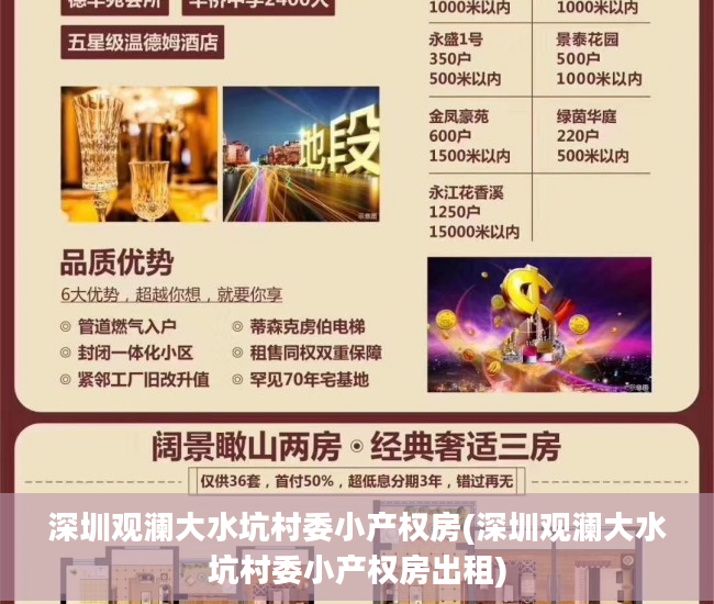 深圳观澜大水坑村委小产权房(深圳观澜大水坑村委小产权房出租)