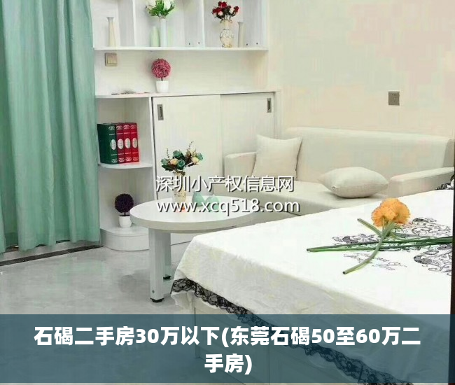 石碣二手房30万以下(东莞石碣50至60万二手房)
