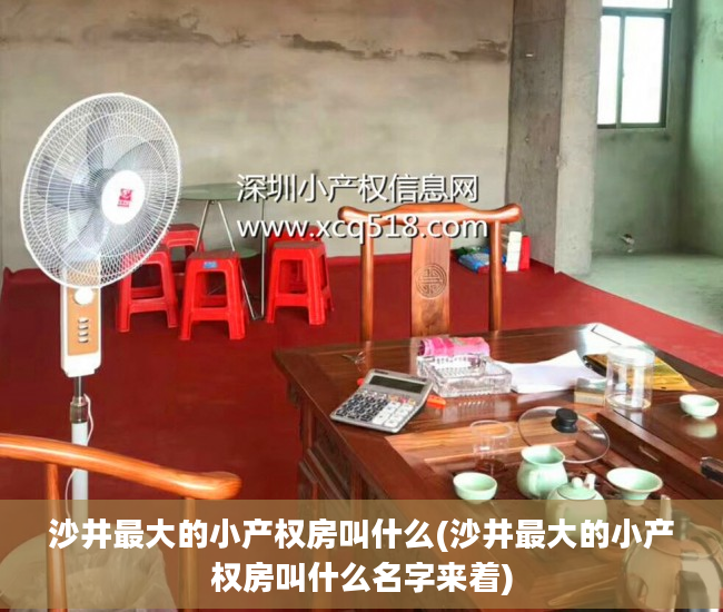 沙井最大的小产权房叫什么(沙井最大的小产权房叫什么名字来着)