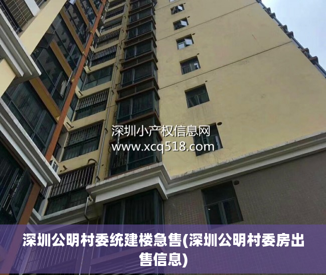 深圳公明村委统建楼急售(深圳公明村委房出售信息)