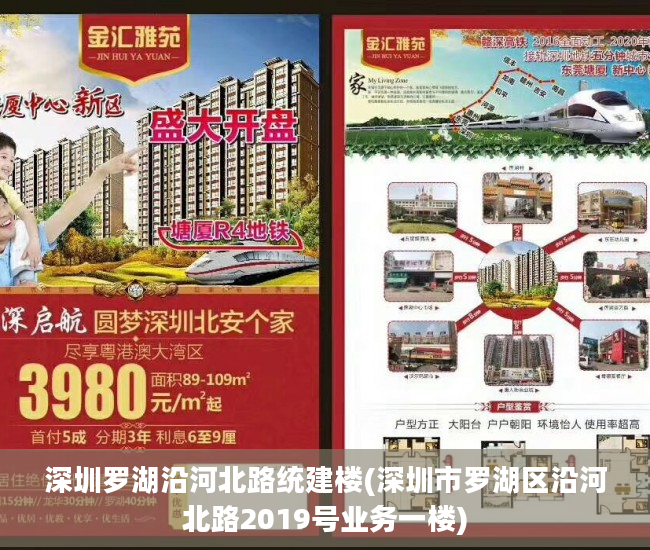 深圳罗湖沿河北路统建楼(深圳市罗湖区沿河北路2019号业务一楼)
