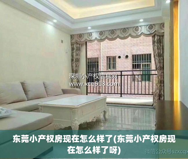 东莞小产权房现在怎么样了(东莞小产权房现在怎么样了呀)