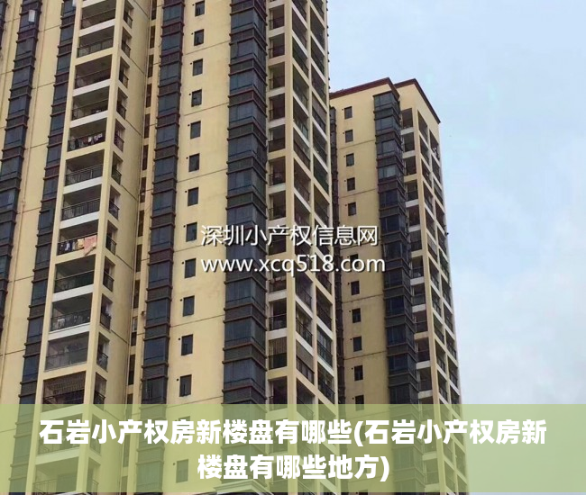 石岩小产权房新楼盘有哪些(石岩小产权房新楼盘有哪些地方)