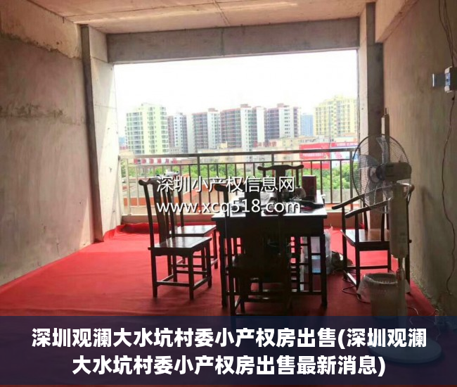 深圳观澜大水坑村委小产权房出售(深圳观澜大水坑村委小产权房出售最新消息)
