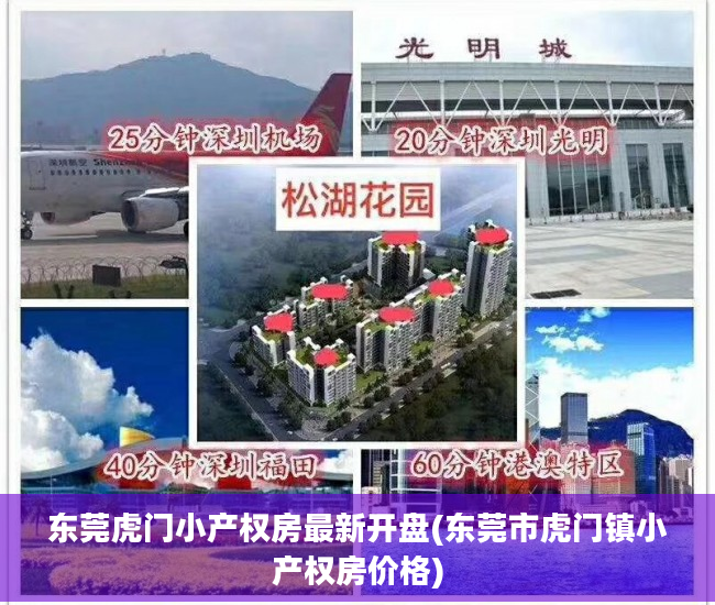 东莞虎门小产权房最新开盘(东莞市虎门镇小产权房价格)