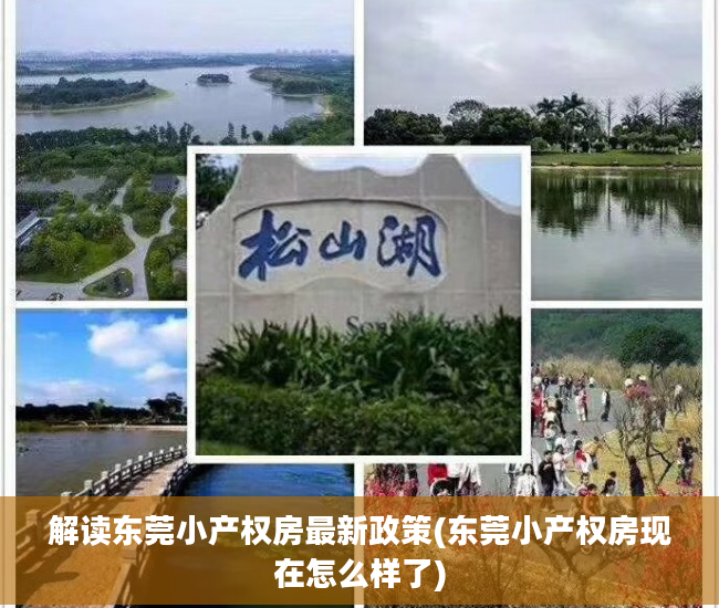 解读东莞小产权房最新政策(东莞小产权房现在怎么样了)