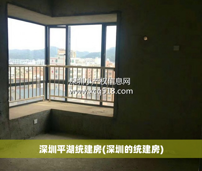 深圳平湖统建房(深圳的统建房)
