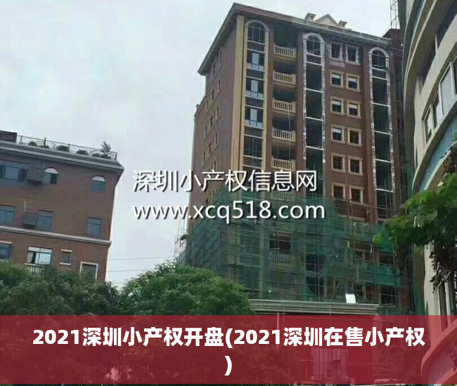 2021深圳小产权开盘(2021深圳在售小产权)