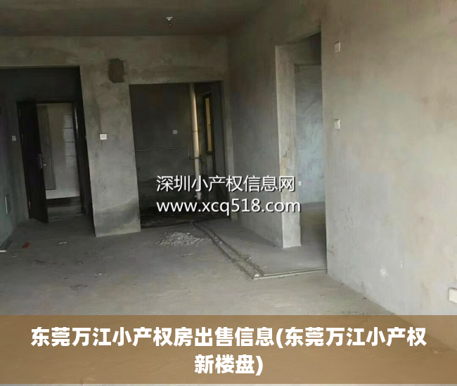 东莞万江小产权房出售信息(东莞万江小产权新楼盘)