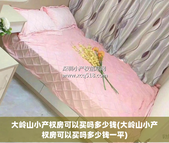 大岭山小产权房可以买吗多少钱(大岭山小产权房可以买吗多少钱一平)