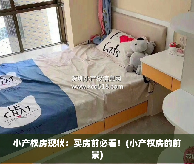小产权房现状：买房前必看！(小产权房的前景)