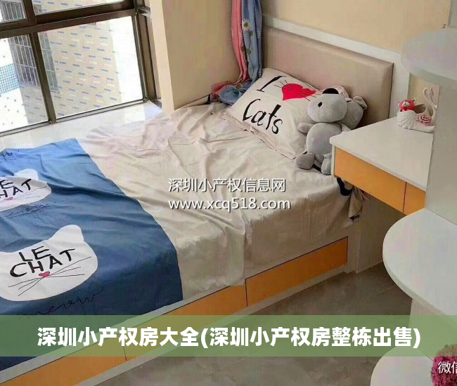 深圳小产权房大全(深圳小产权房整栋出售)