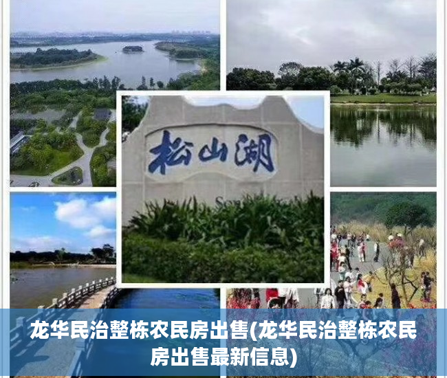 龙华民治整栋农民房出售(龙华民治整栋农民房出售最新信息)