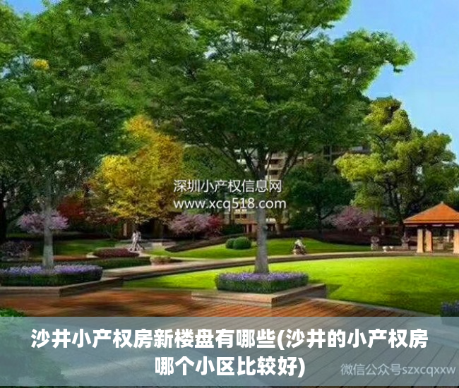 沙井小产权房新楼盘有哪些(沙井的小产权房哪个小区比较好)