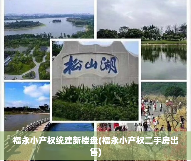 福永小产权统建新楼盘(福永小产权二手房出售)