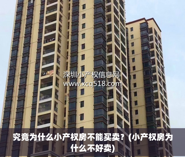 究竟为什么小产权房不能买卖？(小产权房为什么不好卖)