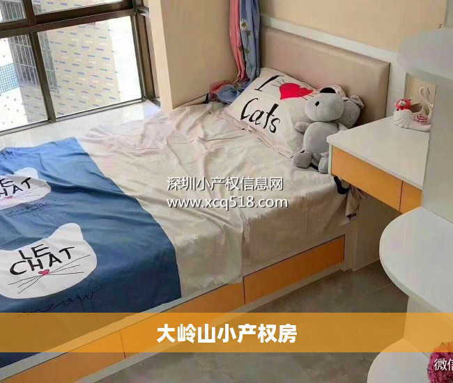大岭山小产权房