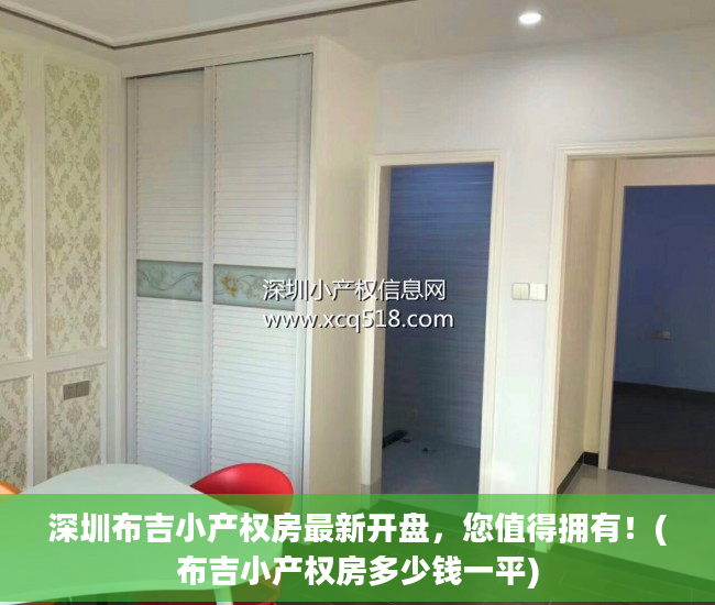 深圳布吉小产权房最新开盘，您值得拥有！(布吉小产权房多少钱一平)