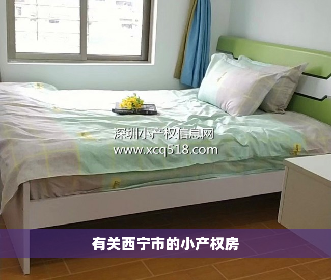 有关西宁市的小产权房