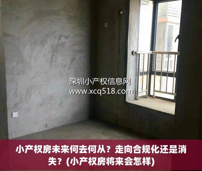 小产权房未来何去何从？走向合规化还是消失？(小产权房将来会怎样)