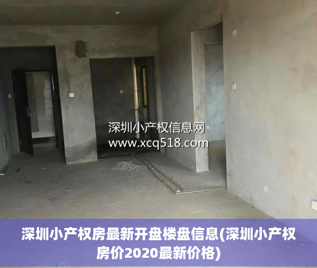 深圳小产权房最新开盘楼盘信息(深圳小产权房价2020最新价格)