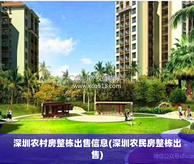 深圳农村房整栋出售信息(深圳农民房整栋出售)
