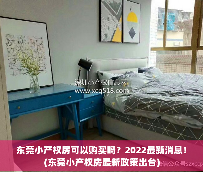 东莞小产权房可以购买吗？2022最新消息！(东莞小产权房最新政策出台)