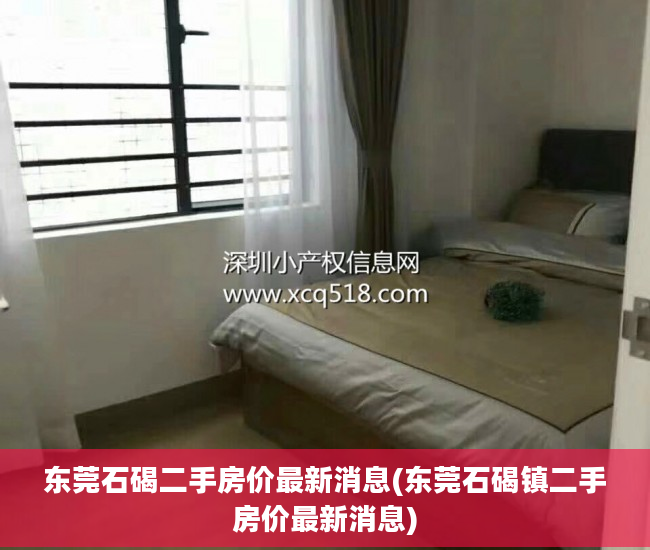 东莞石碣二手房价最新消息(东莞石碣镇二手房价最新消息)