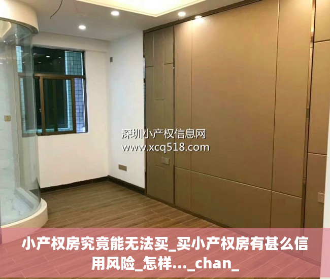 小产权房究竟能无法买_买小产权房有甚么信用风险_怎样..._chan_
