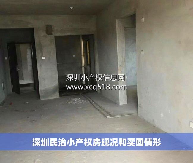 深圳民治小产权房现况和买回情形