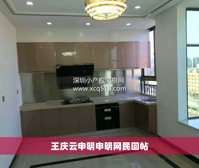 王庆云申明申明网民回帖