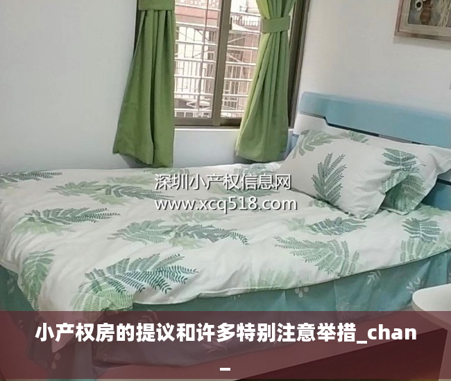 小产权房的提议和许多特别注意举措_chan_