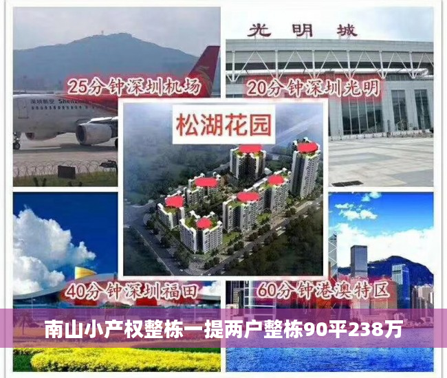 南山小产权整栋一提两户整栋90平238万