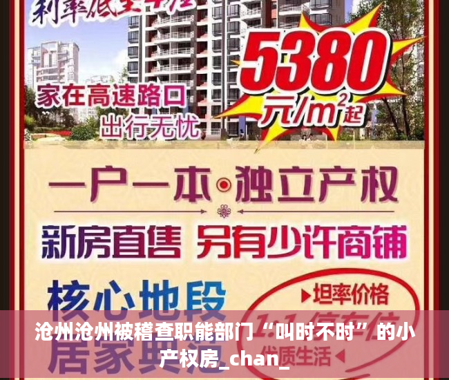 沧州沧州被稽查职能部门“叫时不时”的小产权房_chan_