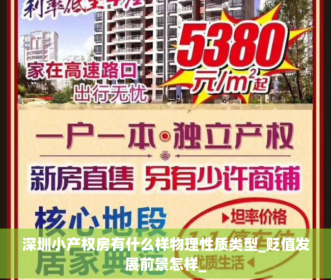 深圳小产权房有什么样物理性质类型_贬值发展前景怎样_
