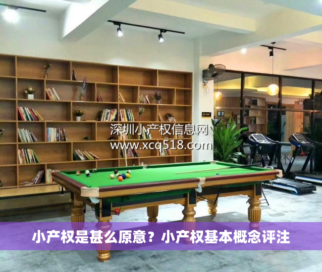 小产权是甚么原意？小产权基本概念评注