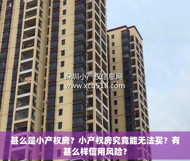 甚么是小产权房？小产权房究竟能无法买？有甚么样信用风险？
