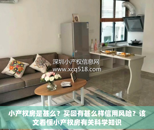 小产权房是甚么？买回有甚么样信用风险？该文看懂小产权房有关科学知识