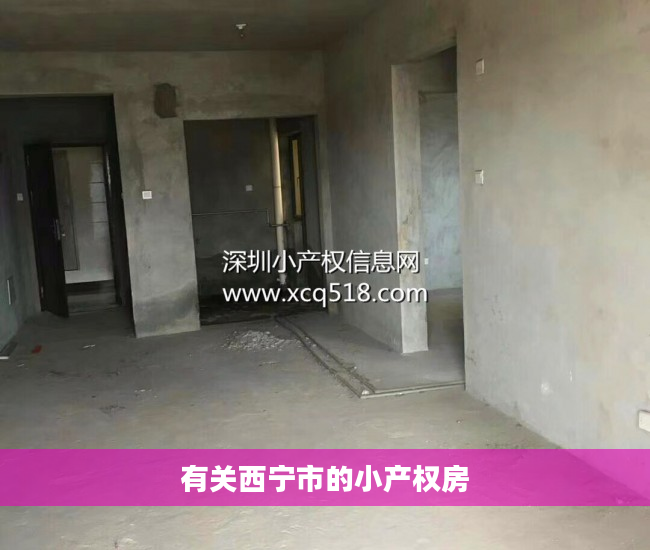 有关西宁市的小产权房