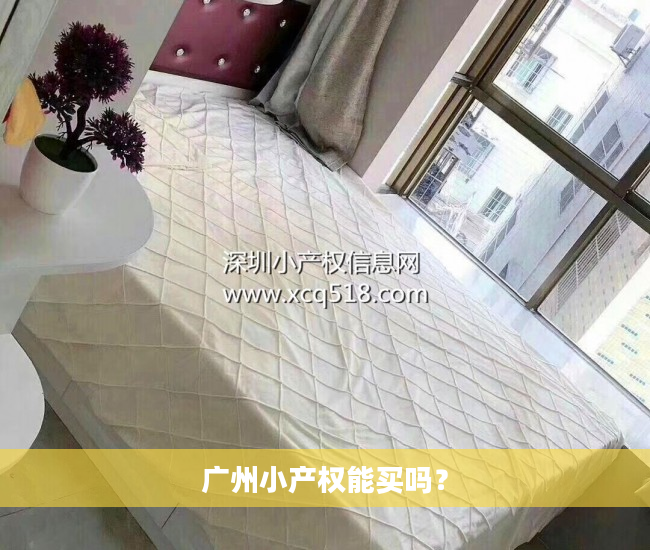 广州小产权能买吗？