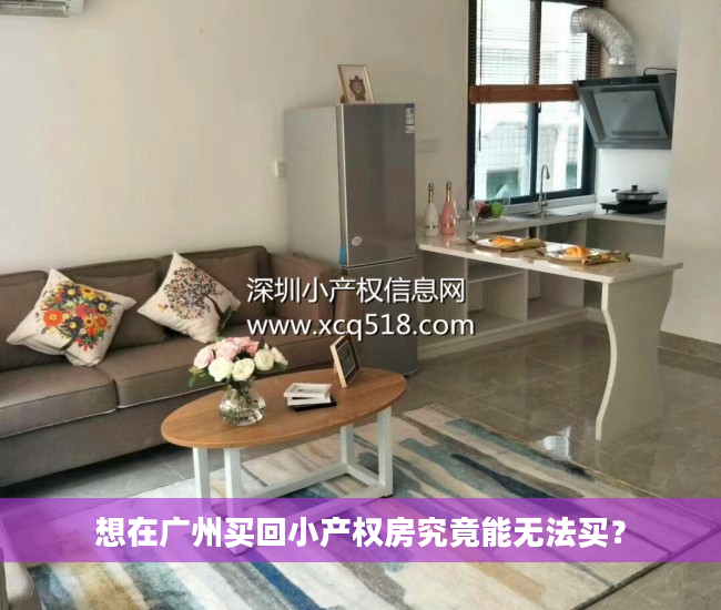 想在广州买回小产权房究竟能无法买？