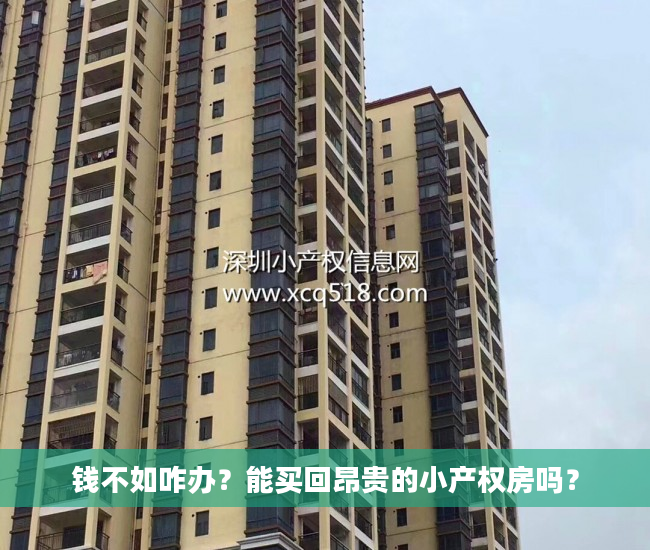 钱不如咋办？能买回昂贵的小产权房吗？