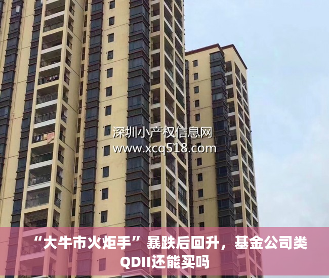 “大牛市火炬手”暴跌后回升，基金公司类QDII还能买吗