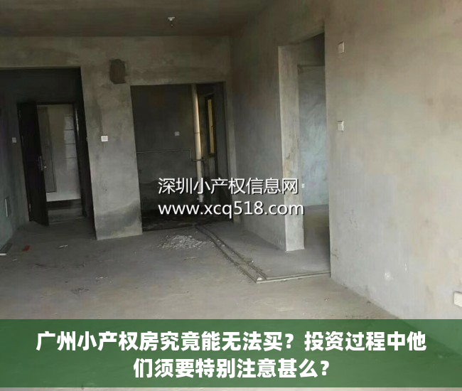 广州小产权房究竟能无法买？投资过程中他们须要特别注意甚么？